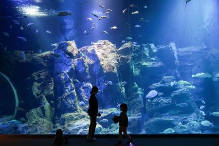 男鹿水族館GAO