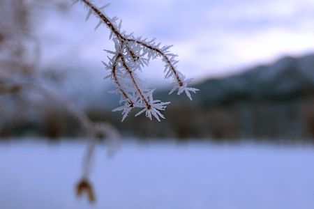 冬花火_氷の華