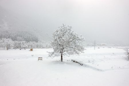 白と黒の街_卒業シーズン_なごり雪