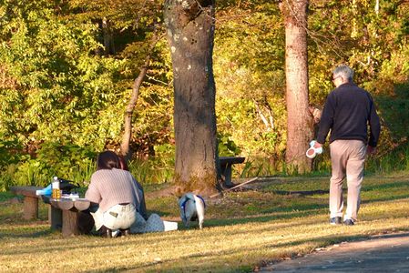 17才の秋_青春の記憶