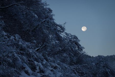 季節の交差_我が故郷