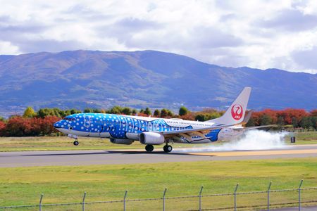 ジンベエジェット