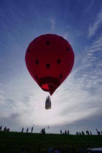 空飛ぶ大きなイチゴ
