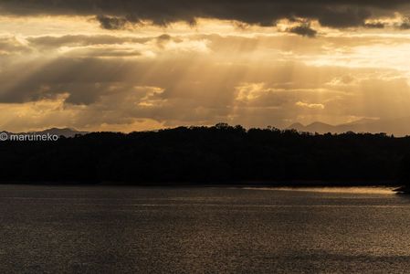 夕照の水辺