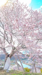北海道の春