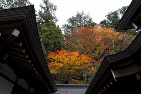 三峯神社、紅葉のはじまり