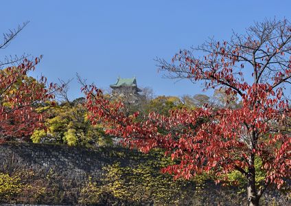 秋の大阪城公園