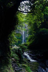 大分県東椎谷の滝