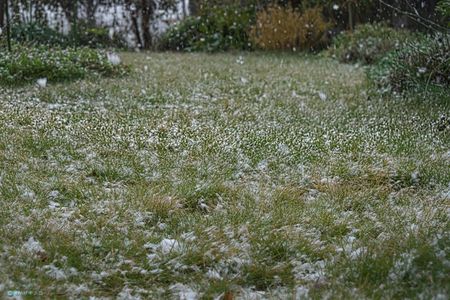 冬の挨拶：初雪