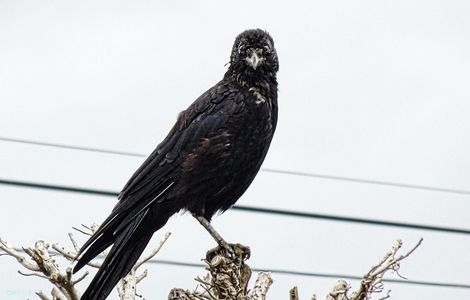 撮ってるの？私を、暇だねー