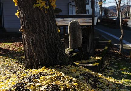 銀杏が見守る秋の祠