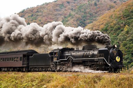 紅葉とデゴイチ