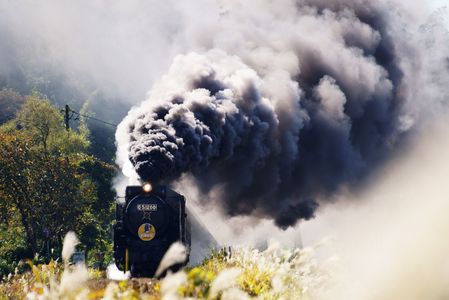 秋日和の煙とススキ