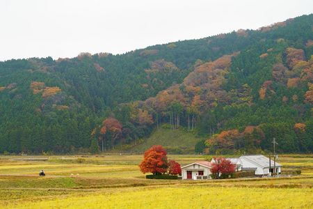 とある田舎の風景