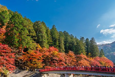 錦秋の朱橋