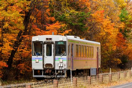 秋の函館本線