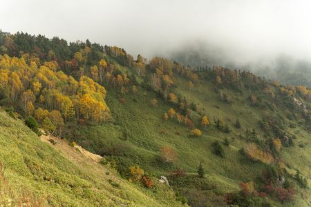 志賀高原　横手山山腹の紅葉