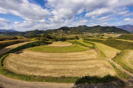 秋の収穫を終えた「尾戸の口棚田」（高千穂町）