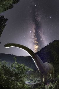 太古の昔へタイムスリップ