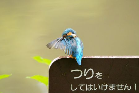 見張ってるからな‼