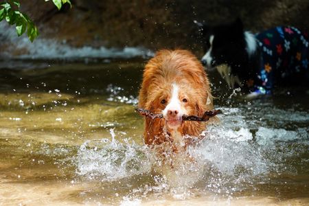 ええものみっけ