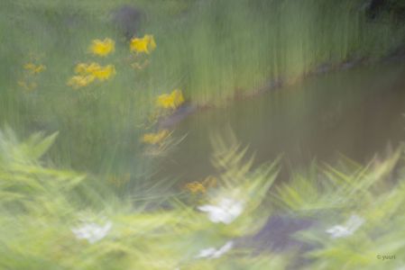 ICMフォトに挑戦！