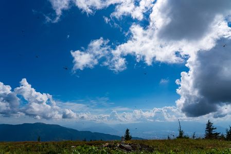 夏空、秋の気配も！