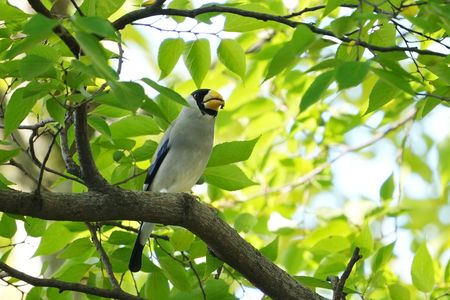 今日のお写んぽ♪