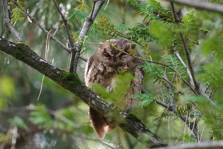 八方ふさがり・・・