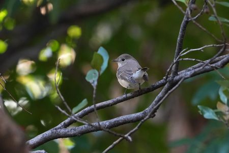 間に合いましたぁ～