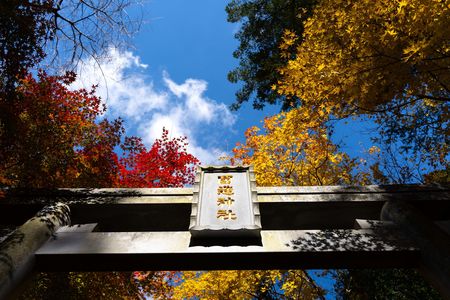 神様からのおもてなし