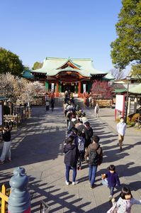 梅の頃の亀戸天神社