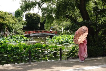 鎌倉の振袖と番傘