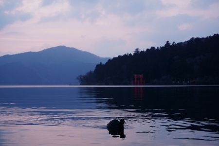 芦ノ湖と水鳥