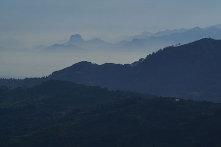 Bogor Indonesia 朝霧