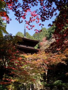 湖東三山　金剛輪寺　秋
