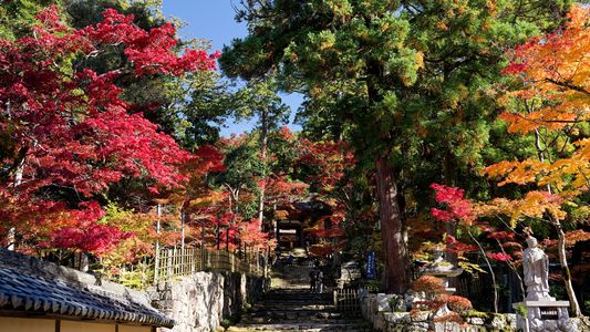 湖東三山　西明寺