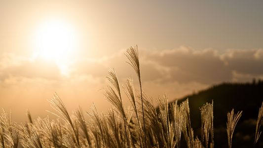 生石高原の夕焼け