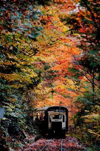 紅葉鉄道