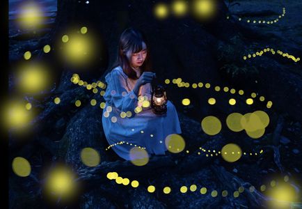 儚くも美しい命の灯火