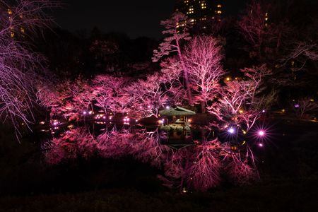 桜色の庭園　三景