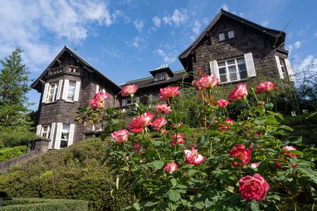 秋薔薇＠旧古河庭園