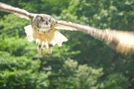 那須どうぶつ王国にて