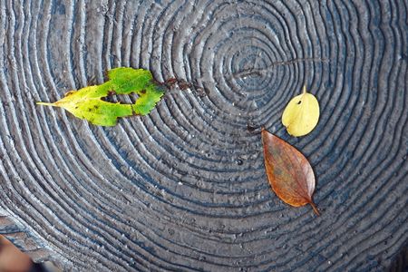 木枯らし猛威か