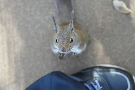 ねえねえ抱っこ…