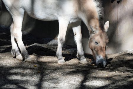 木漏れ日を浴びて