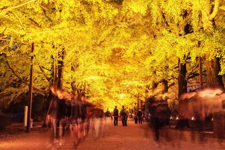 キミは何をかたる？