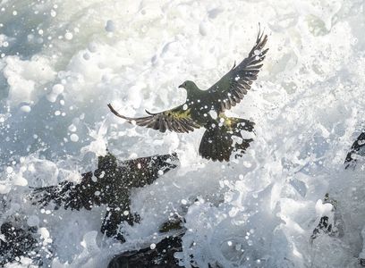 海水にも負けず