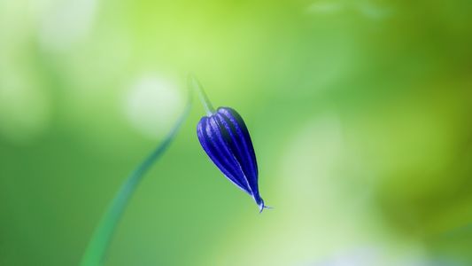 you're still in a dream  〜あなたはまだ夢の中〜