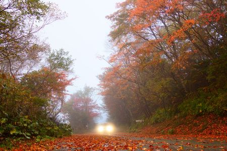 紅葉を訪ねて